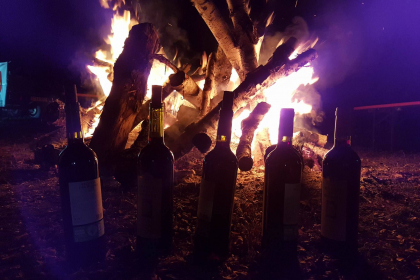 Marche des Délices de Noël